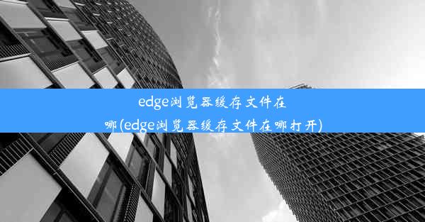 edge浏览器缓存文件在哪(edge浏览器缓存文件在哪打开)