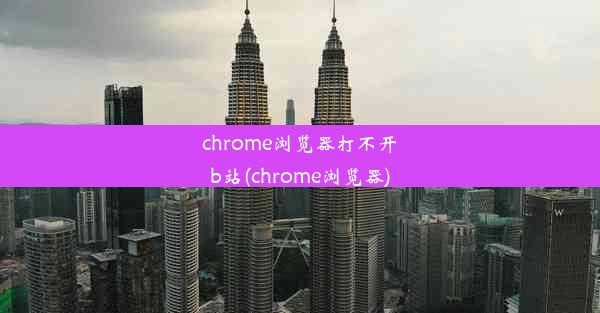 chrome浏览器打不开b站(chrome浏览器)