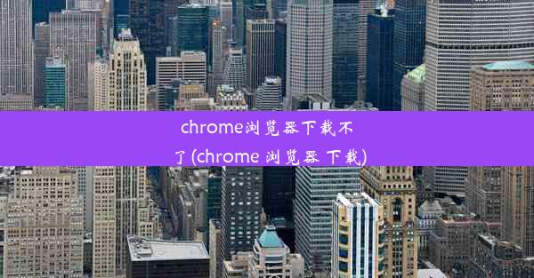 chrome浏览器下载不了(chrome 浏览器 下载)