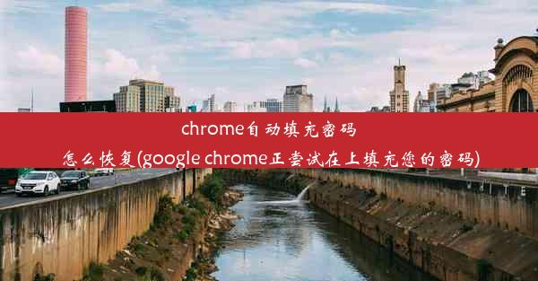 chrome自动填充密码怎么恢复(google chrome正尝试在上填充您的密码)