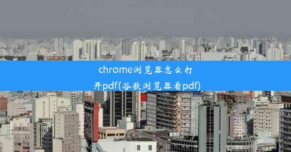 chrome浏览器怎么打开pdf(谷歌浏览器看pdf)