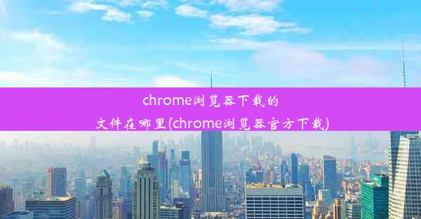 chrome浏览器下载的文件在哪里(chrome浏览器官方下载)