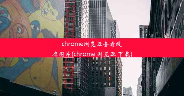 chrome浏览器查看缓存图片(chrome 浏览器 下载)