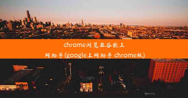 chrome浏览器谷歌上网助手(google上网助手 chrome版)