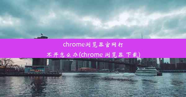 chrome浏览器官网打不开怎么办(chrome 浏览器 下载)