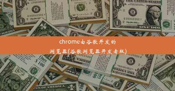 chrome由谷歌开发的浏览器(谷歌浏览器开发者版)