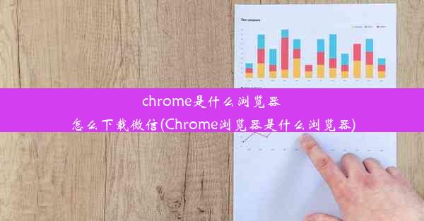 chrome是什么浏览器怎么下载微信(Chrome浏览器是什么浏览器)