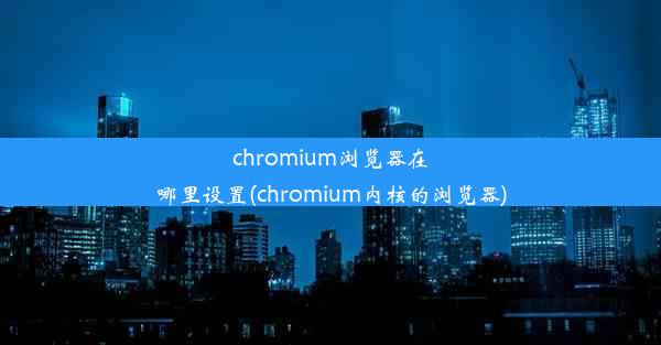 chromium浏览器在哪里设置(chromium内核的浏览器)