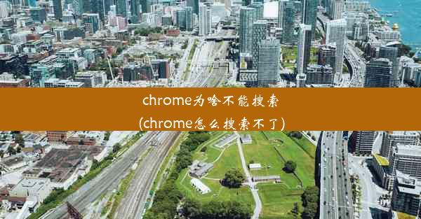 chrome为啥不能搜索(chrome怎么搜索不了)