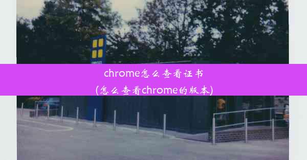 chrome怎么查看证书(怎么查看chrome的版本)