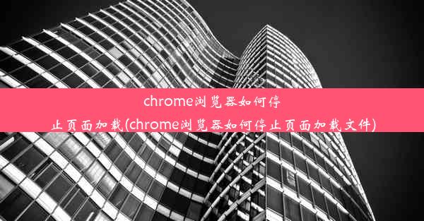 chrome浏览器如何停止页面加载(chrome浏览器如何停止页面加载文件)