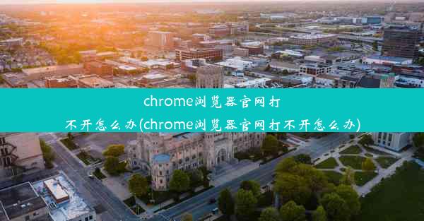 chrome浏览器官网打不开怎么办(chrome浏览器官网打不开怎么办)