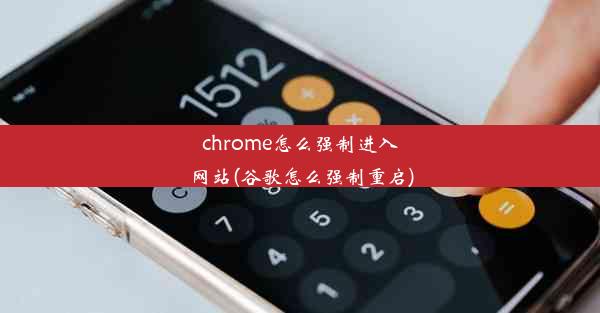 chrome怎么强制进入网站(谷歌怎么强制重启)