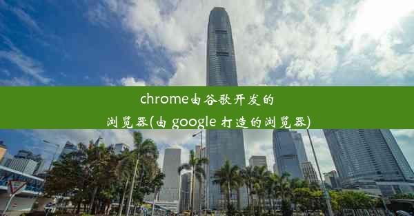 chrome由谷歌开发的浏览器(由 google 打造的浏览器)