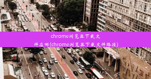 chrome浏览器下载文件在哪(chrome浏览器下载文件路径)