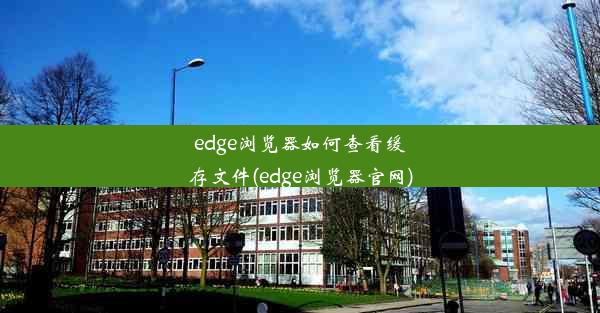 edge浏览器如何查看缓存文件(edge浏览器官网)