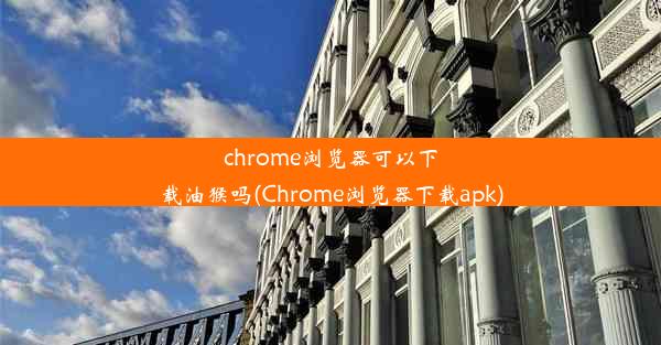 chrome浏览器可以下载油猴吗(Chrome浏览器下载apk)