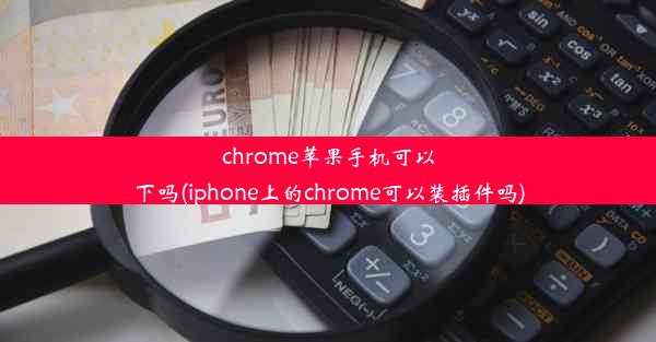 chrome苹果手机可以下吗(iphone上的chrome可以装插件吗)