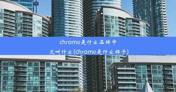 chrome是什么品牌中文叫什么(chrome是什么牌子)