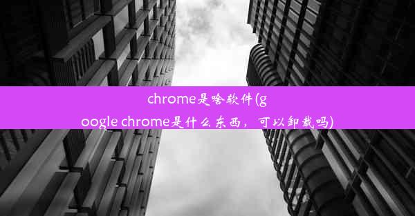 chrome是啥软件(google chrome是什么东西，可以卸载吗)