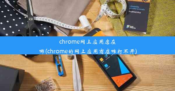 chrome网上应用店在哪(chrome的网上应用商店咋打不开)