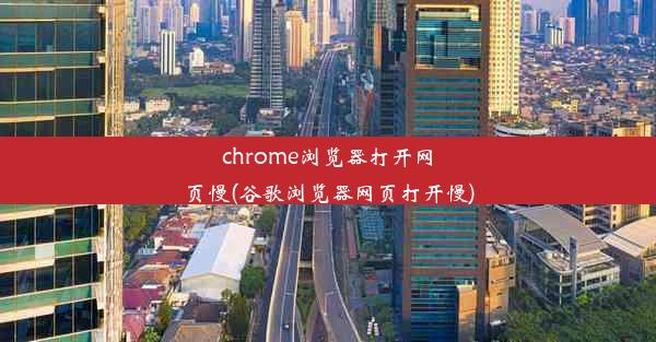 chrome浏览器打开网页慢(谷歌浏览器网页打开慢)