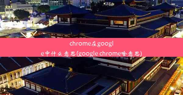 chrome在google中什么意思(google chrome啥意思)