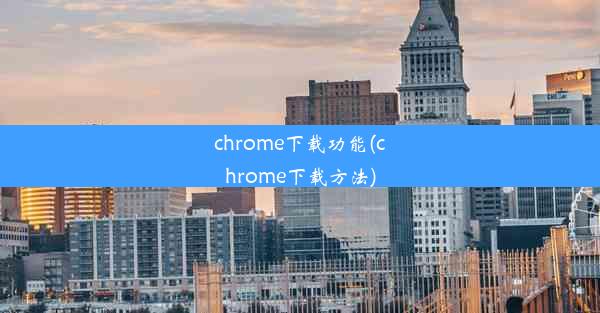 chrome下载功能(chrome下载方法)