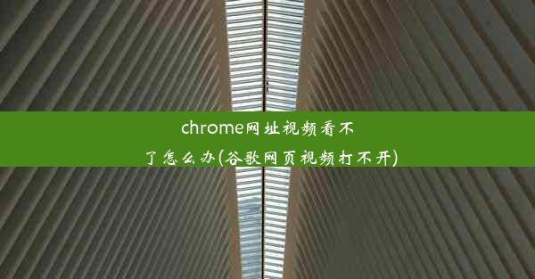 chrome网址视频看不了怎么办(谷歌网页视频打不开)