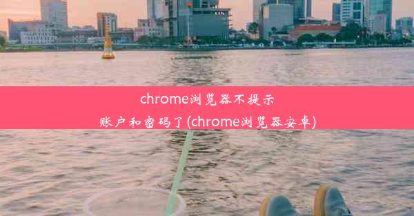 chrome浏览器不提示账户和密码了(chrome浏览器安卓)