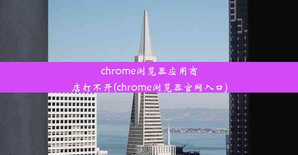 chrome浏览器应用商店打不开(chrome浏览器官网入口)