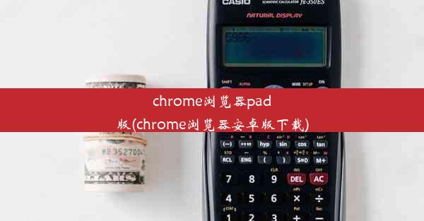 chrome浏览器pad版(chrome浏览器安卓版下载)