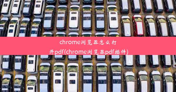 chrome浏览器怎么打开pdf(chrome浏览器pdf插件)