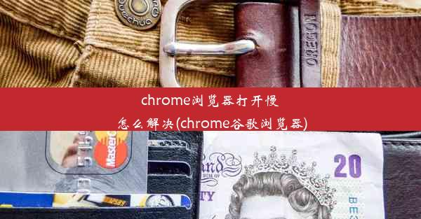 chrome浏览器打开慢怎么解决(chrome谷歌浏览器)