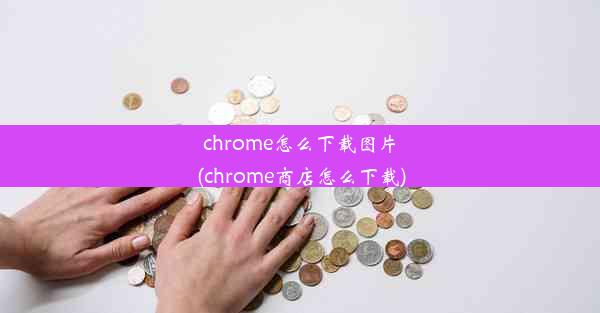 chrome怎么下载图片(chrome商店怎么下载)