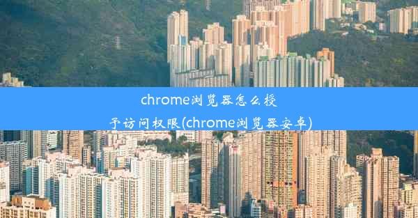 chrome浏览器怎么授予访问权限(chrome浏览器安卓)