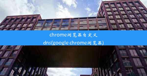 chrome浏览器自定义dns(google chrome浏览器)