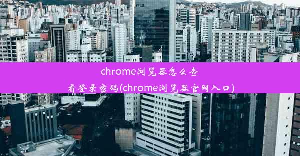 chrome浏览器怎么查看登录密码(chrome浏览器官网入口)