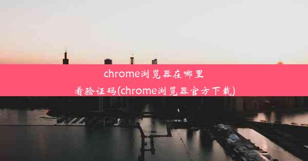 chrome浏览器在哪里看验证码(chrome浏览器官方下载)