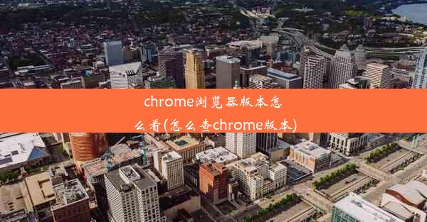 chrome浏览器版本怎么看(怎么查chrome版本)