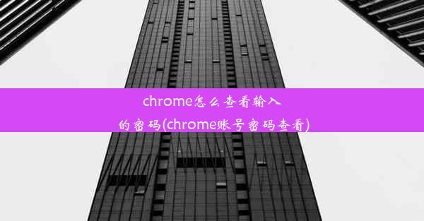 chrome怎么查看输入的密码(chrome账号密码查看)