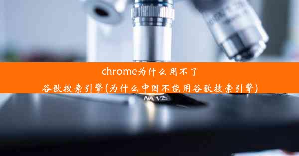 chrome为什么用不了谷歌搜索引擎(为什么中国不能用谷歌搜索引擎)