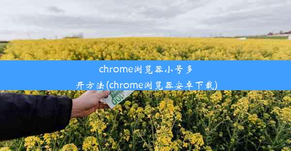 chrome浏览器小号多开方法(chrome浏览器安卓下载)