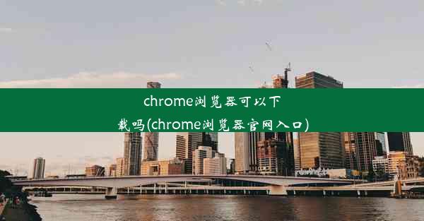 chrome浏览器可以下载吗(chrome浏览器官网入口)