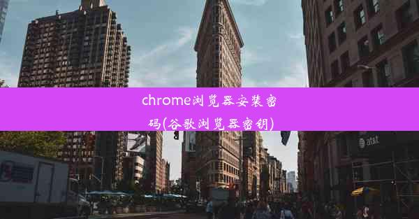 chrome浏览器安装密码(谷歌浏览器密钥)