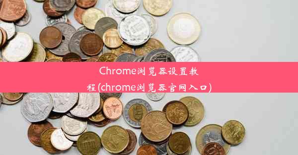 Chrome浏览器设置教程(chrome浏览器官网入口)