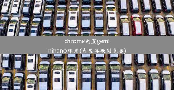 chrome内置gemininano咋用(内置谷歌浏览器)