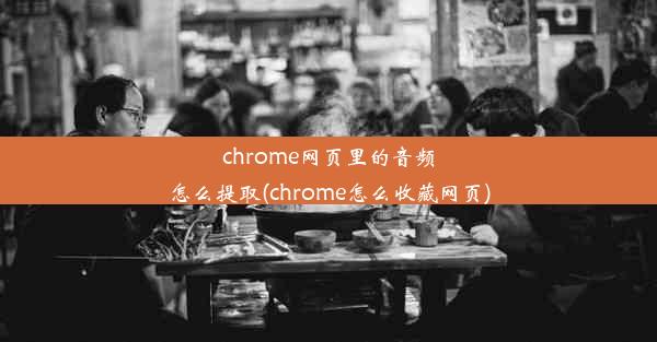 chrome网页里的音频怎么提取(chrome怎么收藏网页)