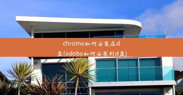 chrome如何安装在d盘(adobe如何安装到d盘)