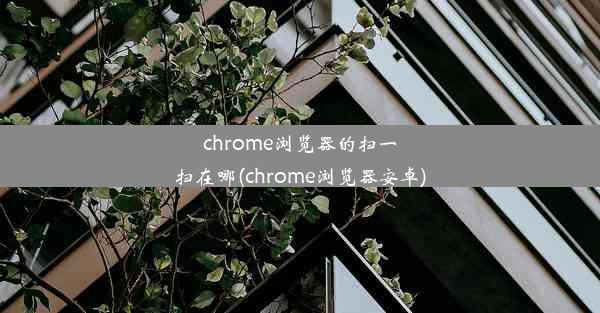 chrome浏览器的扫一扫在哪(chrome浏览器安卓)